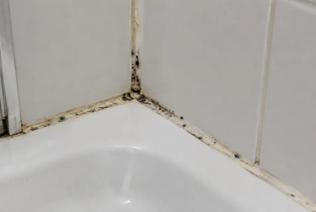 Kitbedrijf Purmerend – beschimmelde kitranden